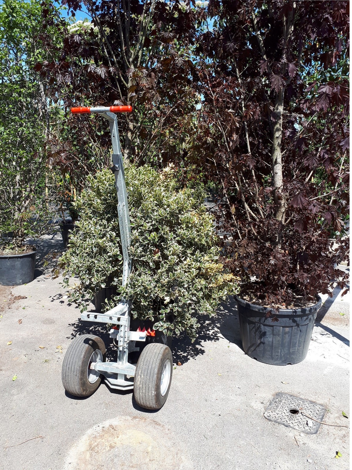 Chariot manutention conteneur Coserwa