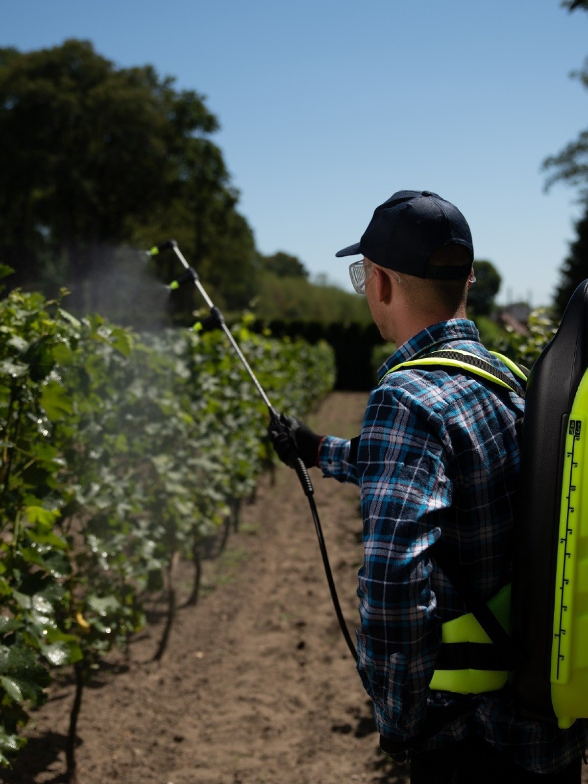 Pulvérisateur avec réservoir 12 L.