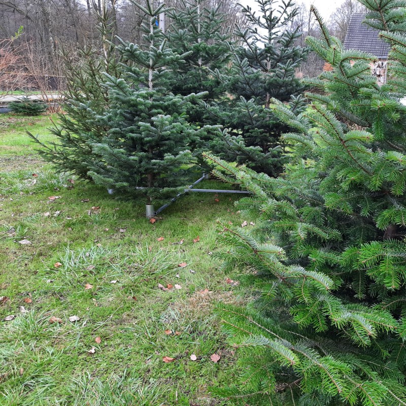 Support sapin de Noël - Coserwa