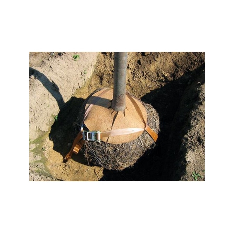 ancrage en place sur motte