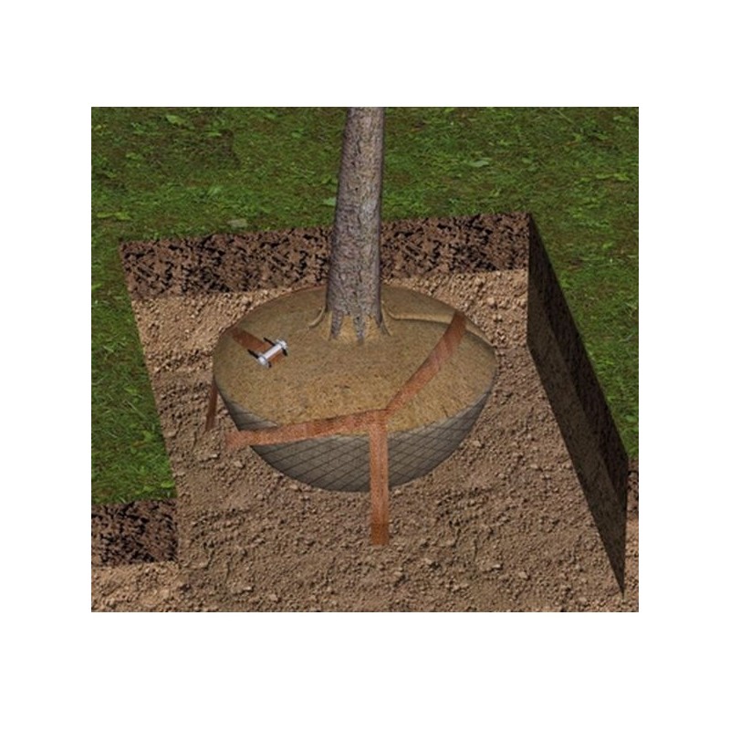 croquis ancrage partiel