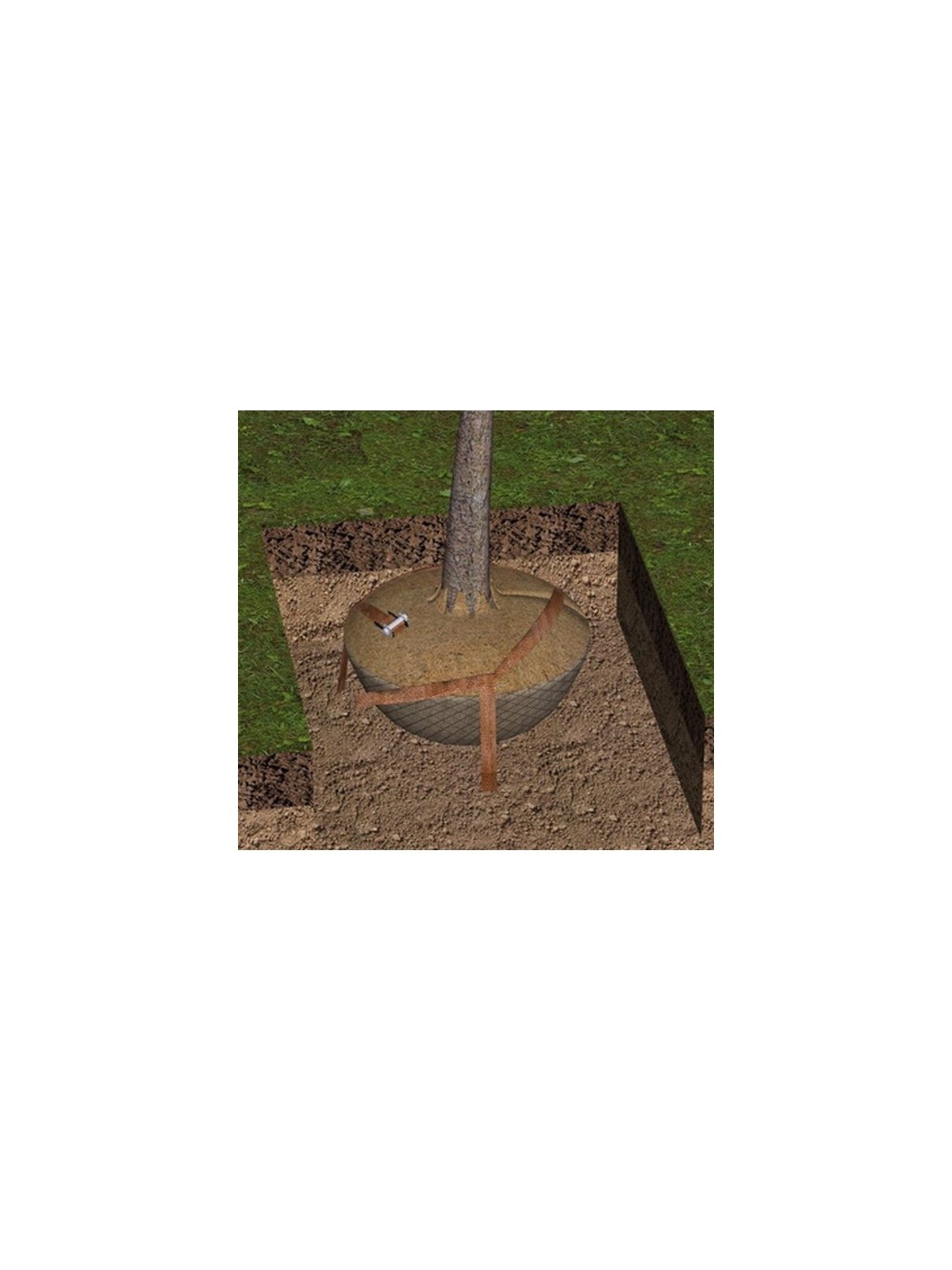 croquis ancrage partiel