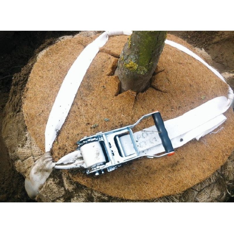 Ancrage biodégradable - arbre en motte