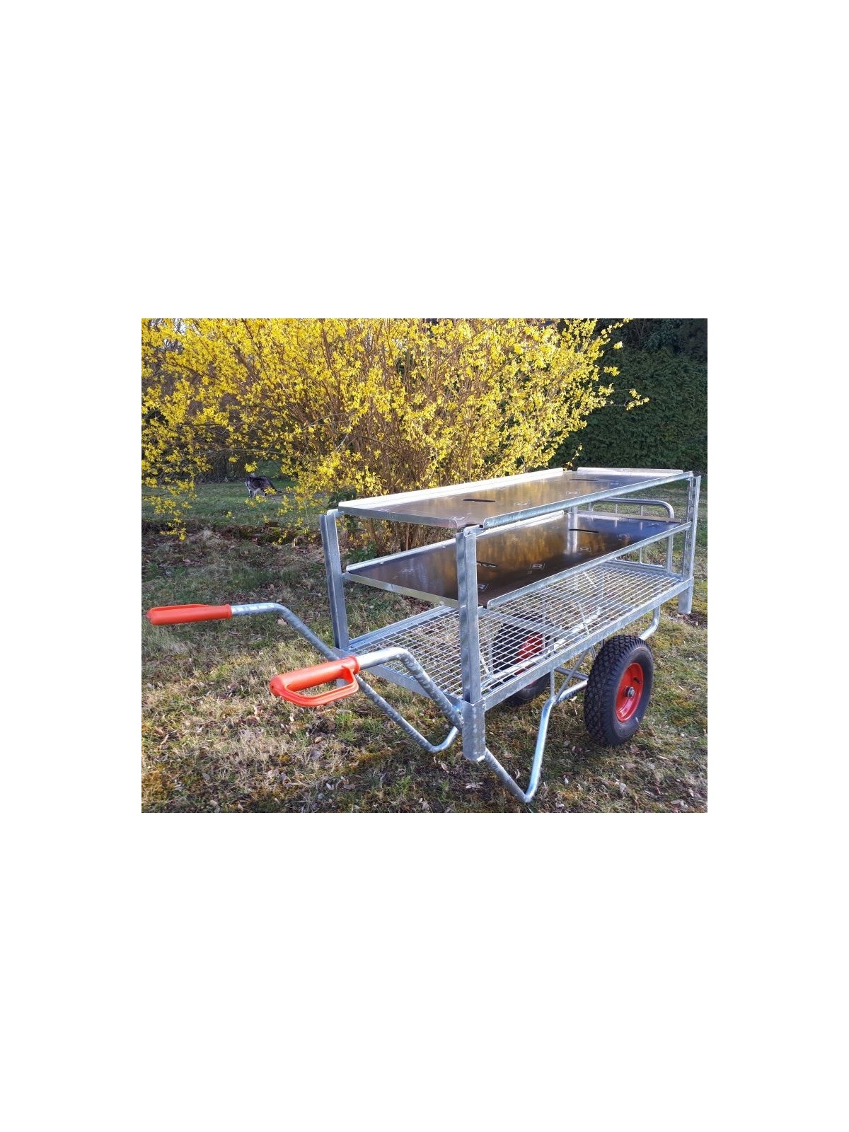 brouette CC 2 plateaux