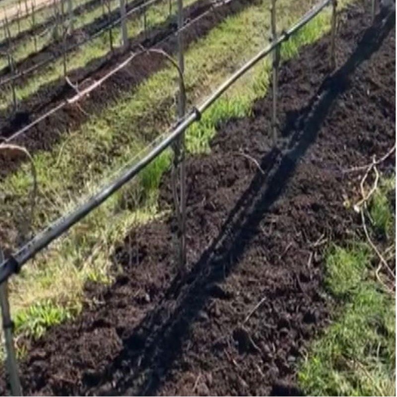 ligne compost viticulture