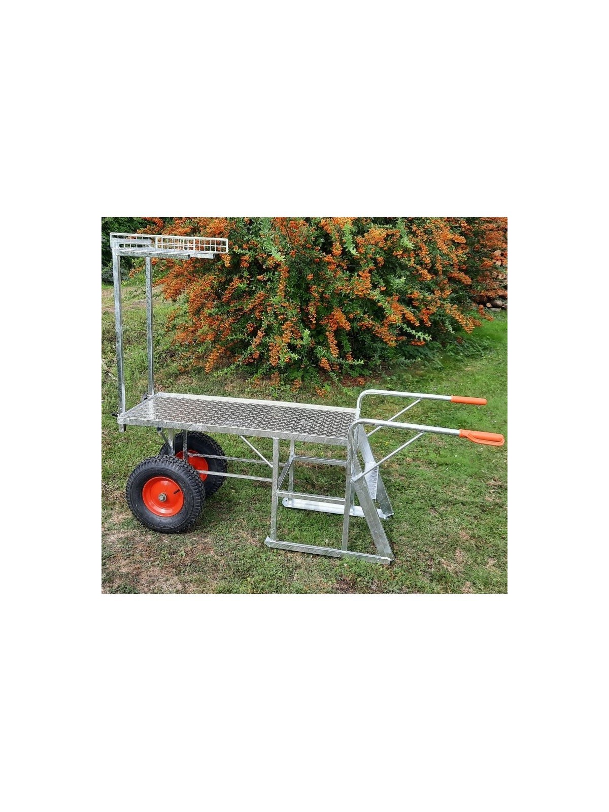 brouette escabeau coserwa