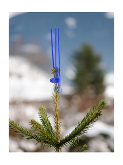 Protection gibiers et oiseaux