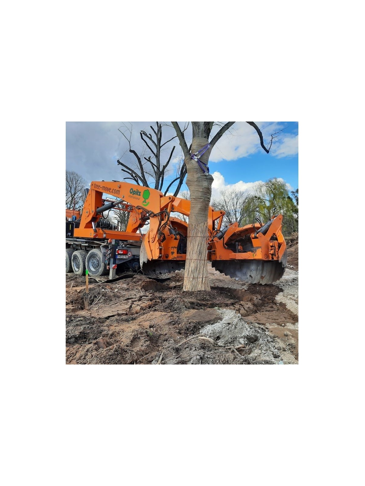 arrachage positionnement