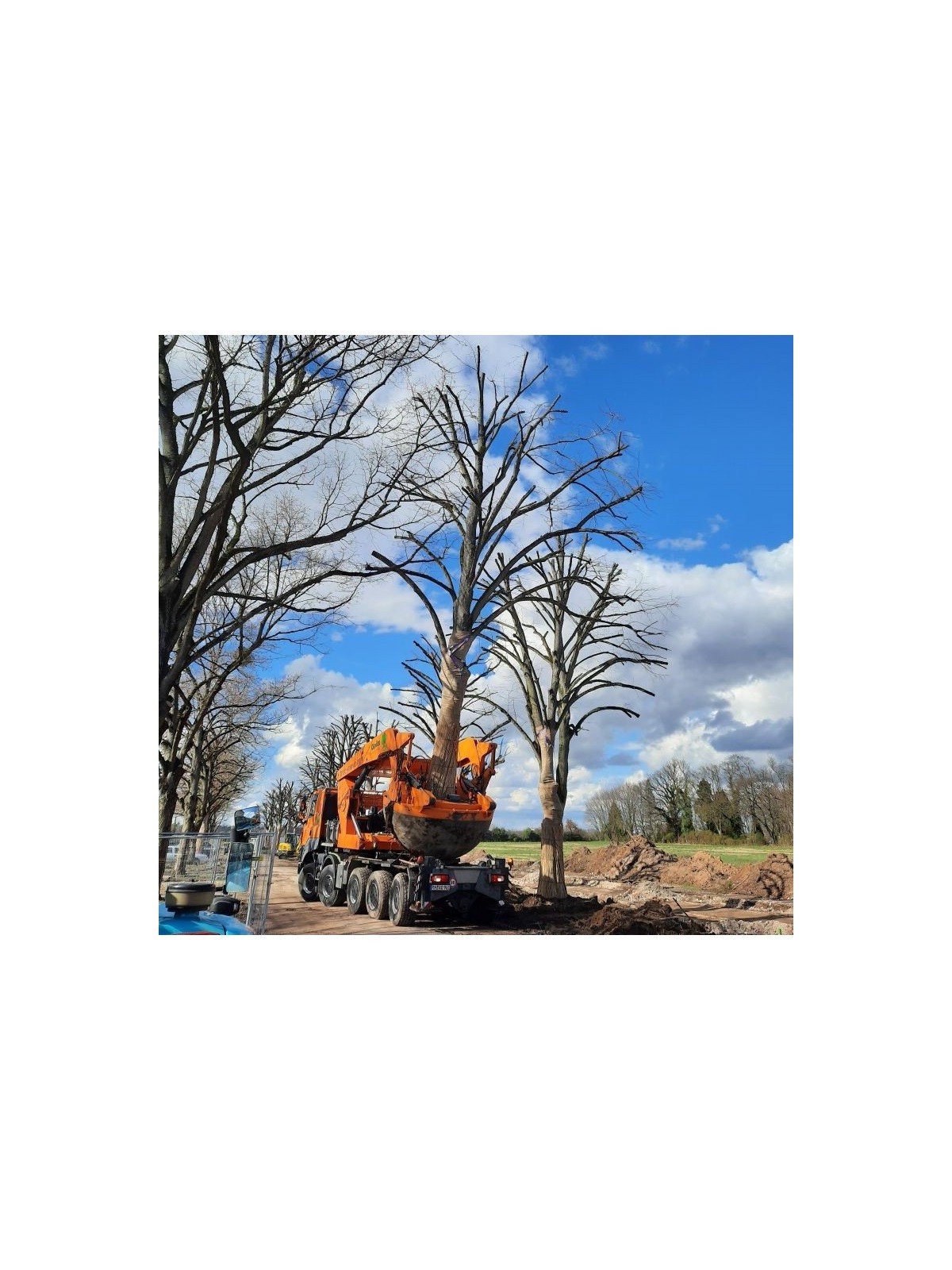 deplacement arbre sur camion