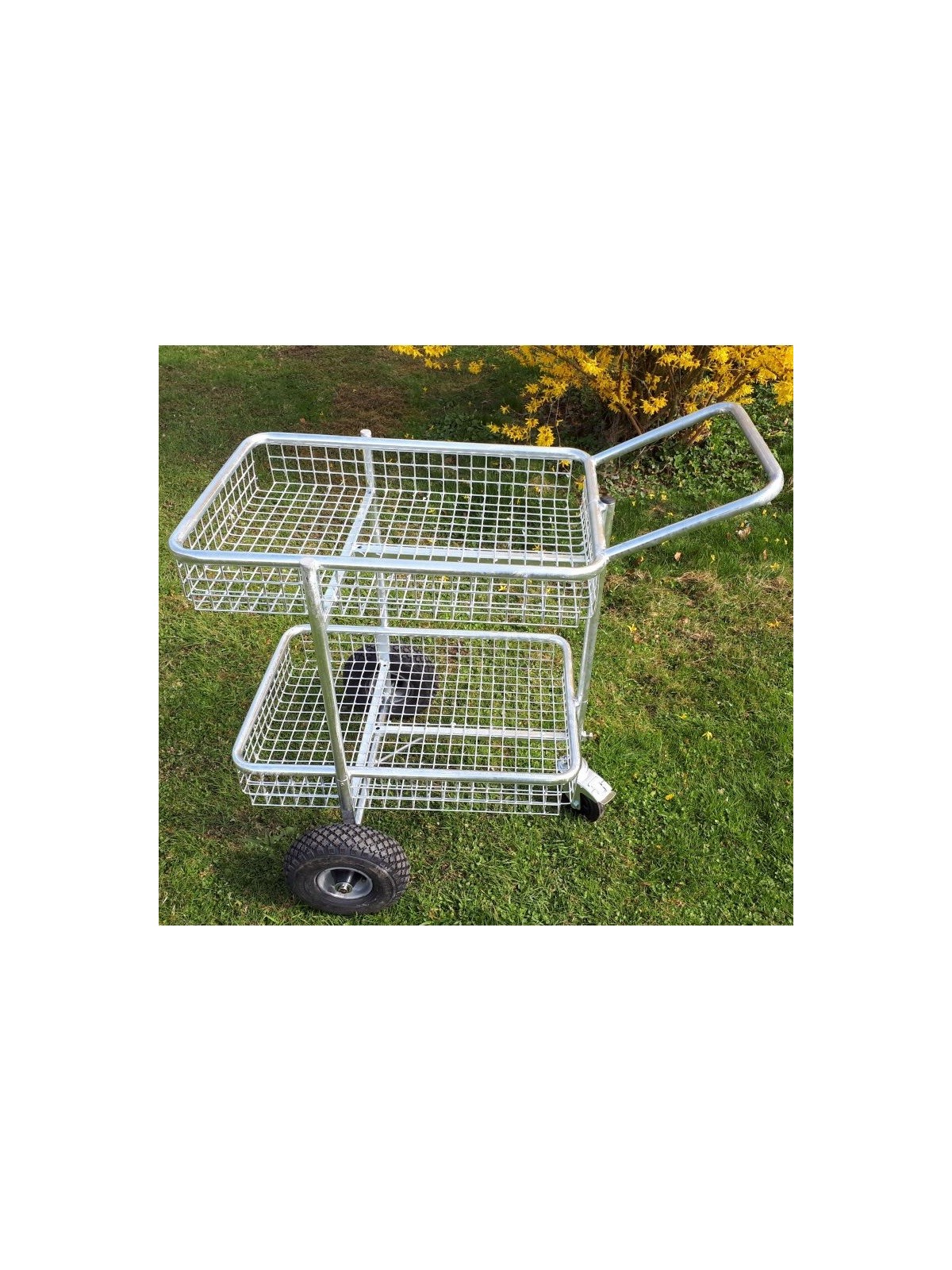 baladeuse 2 corbeilles