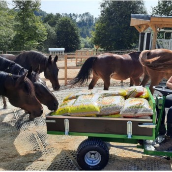 aliments chevaux