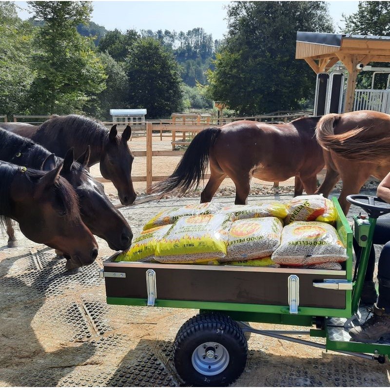 aliments chevaux