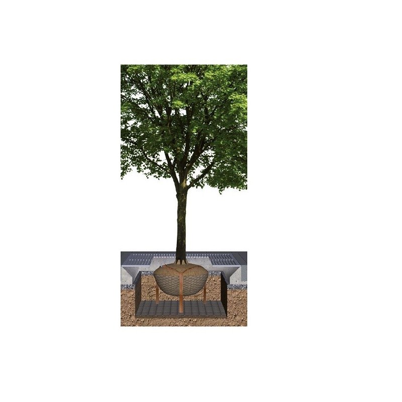 ancrage d'arbre sur treillis soudé