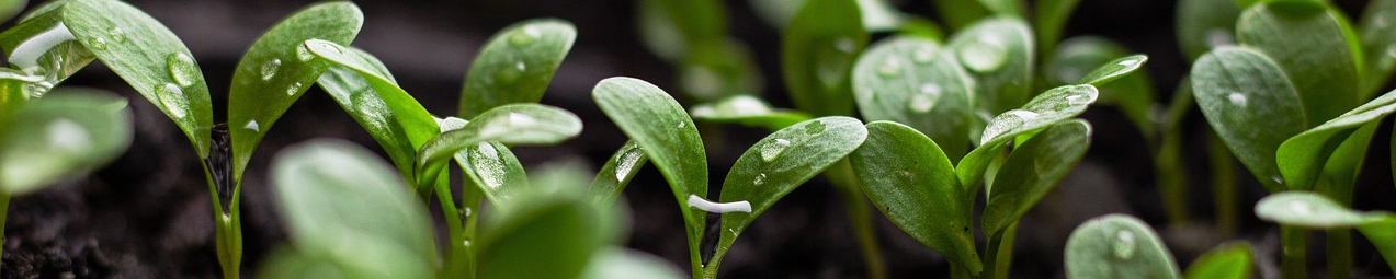 Un large choix d'enrouleurs image